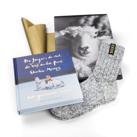 Soxs-cadeau-charlie-mackesy-high[1]